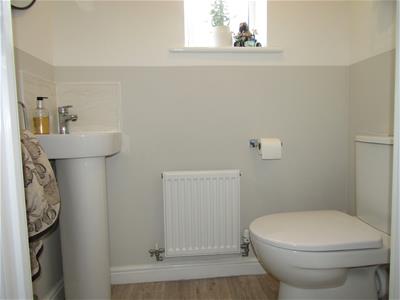 Picture 15